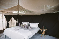 Chula Island Camp