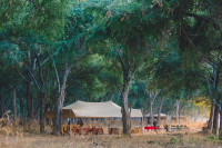Kutali Camp