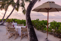 Alphonse Island Lodge