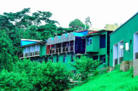 Chimpanzee Lodge