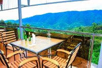 Chimpanzee Lodge