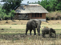 Mopani Safari Lodge Mid-range lodge bordering South Luangwa NP without fences – Day 4: Lunch & Dinner Included – Day 5-6: All Meals Included +4 Photos +3 Photos