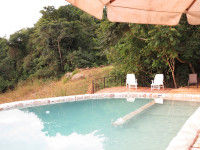 Nkima Forest Lodge