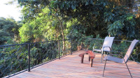 Nkima Forest Lodge