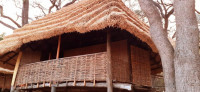 North Luangwa River Lodge & Camp