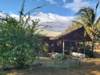 Le Relais de L'Ankarana