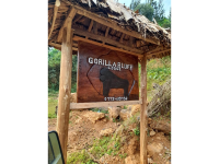 Gorilla Bluff Lodge