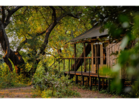 Camp Sabali