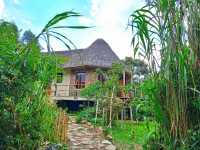 Chimpanzee Capital Safari Lodge Budget lodge just outside Kibale NP (Chimps) – All Meals Included +7 Photos +6 Photos