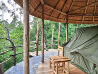Chimpanzee Capital Safari Lodge Budget lodge just outside Kibale NP (Chimps) – All Meals Included +7 Photos +6 Photos