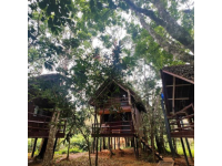 Longoza Ecolodge