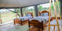 Untamed Migration Camps