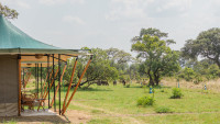 Untamed Migration Camps