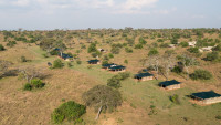 Untamed Migration Camps
