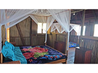 Aye-Aye Forest Camp