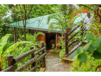 Dounia Forest Lodge