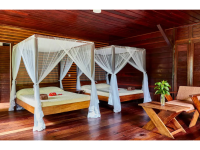 Dounia Forest Lodge