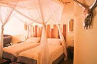 Berenty Lodge Mid-range lodge inside Berenty Reserve (Madagascar) – Breakfast & Dinner Included +6 Photos +5 Photos