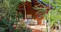 Berenty Lodge Mid-range lodge inside Berenty Reserve (Madagascar) – Breakfast & Dinner Included +6 Photos +5 Photos