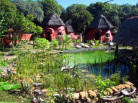 Jungle Lodge