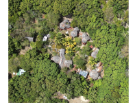 Jungle Lodge