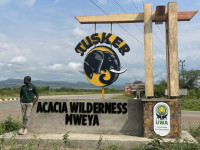 Acacia Wilderness Mweya Lodge