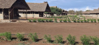 Osutua Rafiki Camp