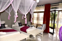 Orchidée de l'Isalo Hotel