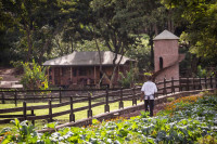 Gibb's Farm