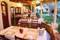 Casa Rex