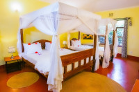 Rim View Inn