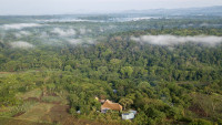 Turaco Treetops Lodge