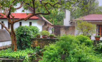 The Plantation Lodge