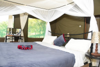 Ngorongoro Wild Camp