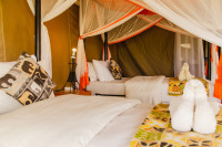 Kenzan Migration Camp
