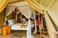 Kenzan Migration Camp