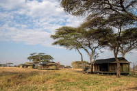 Ole Serai Luxury Camp - Turner Springs