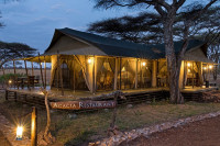 Ole Serai Luxury Camp - Turner Springs