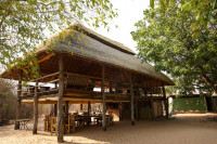 Rhino Safari Camp