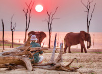 Rhino Safari Camp