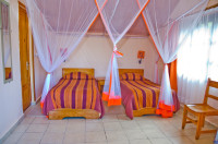 Setam Lodge Mid-range lodge just outside Ranomafana NP – Breakfast Included +7 Photos +6 Photos