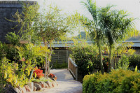 Shearwater Explorers Village