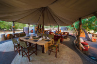 Tena Tena Camp