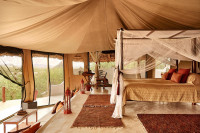 Sasaab Camp