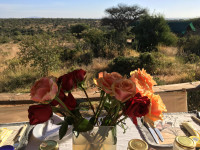 Laikipia Wilderness Camp