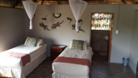 Elephant Sands Lodge Mid-range tented camp at Elephant Sands (Botswana) – Breakfast & Dinner Included +3 Photos
