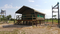 Elephant Sands Lodge Mid-range tented camp at Elephant Sands (Botswana) – Breakfast & Dinner Included +3 Photos