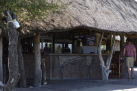 Elephant Sands Lodge Mid-range tented camp at Elephant Sands (Botswana) – Breakfast & Dinner Included +3 Photos