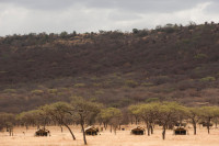 Serengeti Kati Kati Tented Camp