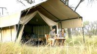 Intimate Camp Zebra